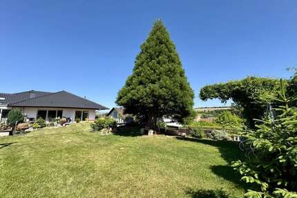 Haus zum Kaufen in Marnheim 395.000,00 € 218.99 m²