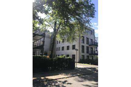 Wohnung zum Mieten in Dreieich 2.300,00 € 115 m²