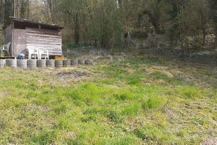 Garten in Hemsbach Eppenweg zu verpachten.