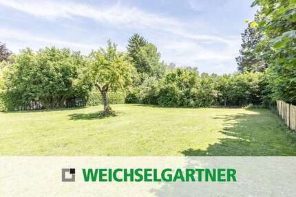Grundstück zu verkaufen in Finsing 400.000,00 € 454 m²