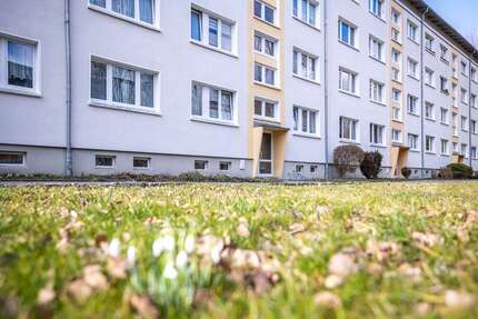 Wohnung zum Mieten in Zittau 351,00 € 58.3 m²