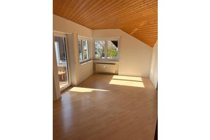 Helle 2,5 Zimmer Wohnung (ca. 100 qm) mit Balkon in Ulm-Einsingen