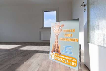 Wohnung zum Mieten in Schönebeck 357,06 € 64.92 m²