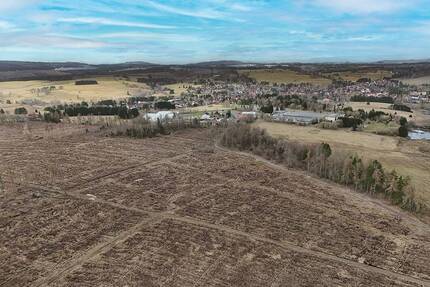 6,2 ha Forstliegenschaft - weitgehend gerodet - Oberharz am Brocken Benneckenstein