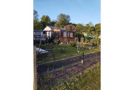 Kleingarten 220m2 mit Hütte uvm - Berlin Treptow-Köpenick