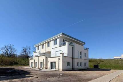 Wohnung zum Mieten in Brandenburg - Potsdam 2.390,00 € 125 m²