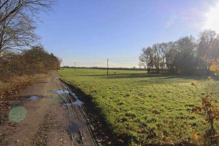 Grundstück zu verkaufen in Niepars 90.000,00 € 25536.22 m²