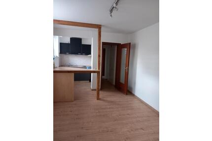 Gemütliche kleine Wohnung mit Einbauküche, kompl. saniert in 2025 - Clausthal-Zellerfeld