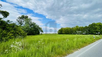 LEBEN IN DER NATUR AN DER NORDSEEKÜSTE - Wesselburenerkoog