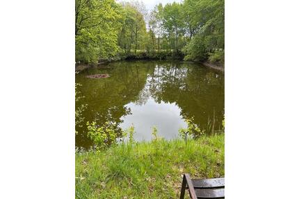 Teich Wasserfläche Erholungsfläche - Lähden