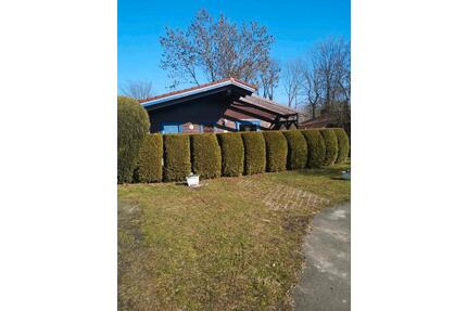 Schönes Blockhaus im Elm zu verkaufen - Braunschweig Wabe-Schunter-Beberbach
