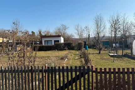 Schöner Pachtgarten sofort abzugeben - Allstedt