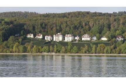 Wohnung zum Kaufen in Meersburg 515.000,00 € 66.1 m²