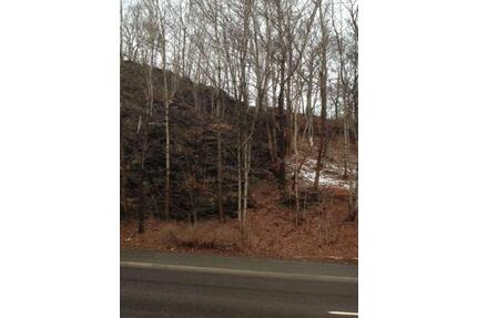 Auerbach Göltztalstr. , 1620 qm - Auerbach/Vogtland