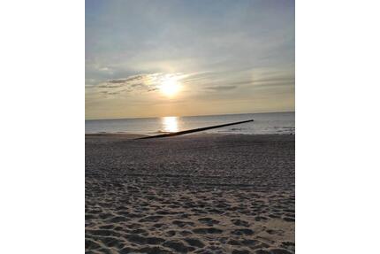 Ferienhaus Ostsee LAST MINUTE ab sofort Garten Kamin Hund Familie - Marl