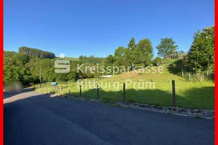 Grundstück zu verkaufen in Pronsfeld 59.000,00 € 963 m²