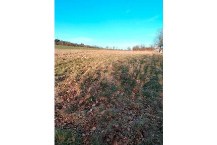 Wiesengrundstück - 170,00&nbsp;EUR Kaltmiete, ca.&nbsp; 0,00&nbsp;m&sup2; in Hermeskeil (PLZ: 54411)