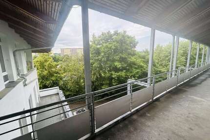 Wohnung zum Mieten in Chemnitz 499,00 € 30.67 m²