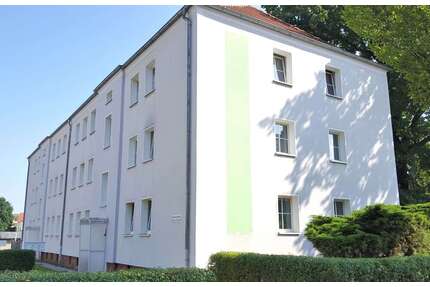 Wohnung zum Mieten in Zittau 328,00 € 60 m²
