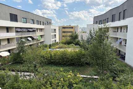 Wohnung zum Mieten in Dresden 1.150,00 € 87.35 m²