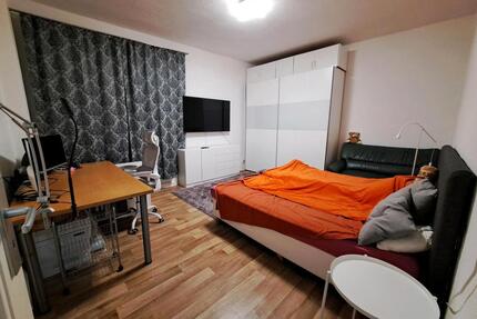 Voll möblierte, ruhige 1-Zimmer-WohnungZwischenmiete für 7 Monate - Berlin Treptow-Köpenick