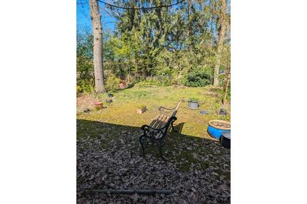 2 Zimmer Wohnung - 600,00&nbsp;EUR Kaltmiete, ca.&nbsp; 50,00&nbsp;m&sup2; in Hatten (PLZ: 26209)