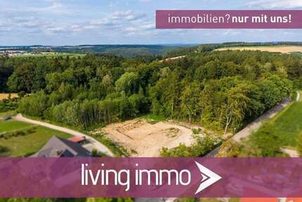 Grundstück zu verkaufen in Sinzing 243.900,00 € 659.33 m²