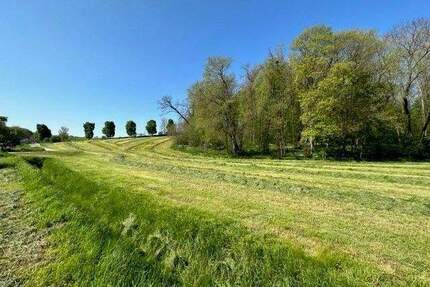 +++ Baugrundstück, Wiesengrundstück und Waldgrundstück im Paket in 06618 Schmerdorf zu verkaufen +++ - Naumburg (Saale) Flemmingen