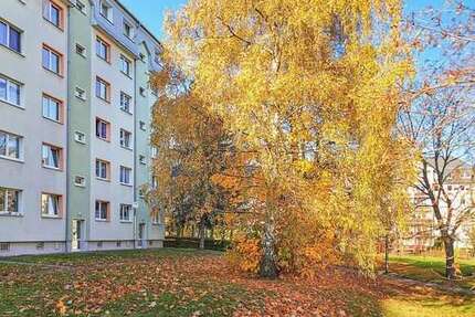 Wohnung zum Mieten in Freiberg 273,00 € 39 m²