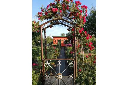 Garten, 350m², in der Anlage 