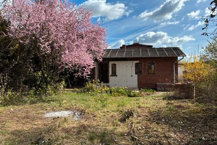 Garten zu verpachten ca 500m2 für 5-7 Jahre - Dachwig