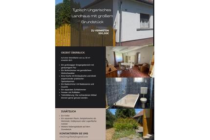 Zu Vermieten typisch Ungarisches Landhaus - Offenbach am Main Hafen