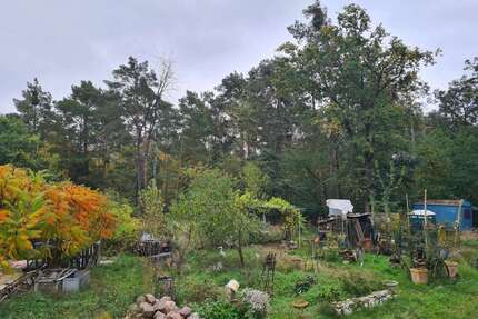 Grundstück zu verkaufen in Werder (Havel) OT Alt-Töplitz 220.000,00 € 46100 m²