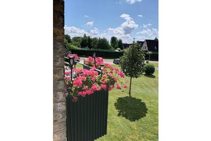 Schöne & Soziale 3 Zimmerwohnung ☀️ - Itzehoe