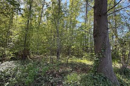 Grundstück in Halstenbek 45.000,00 € 12728 m²