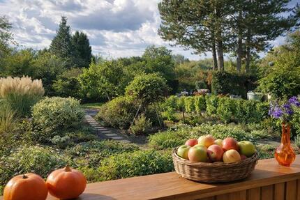 Eigentum-Freizeitgrundstück in Alleinlage Nähe Sangerhausen zu verpachten