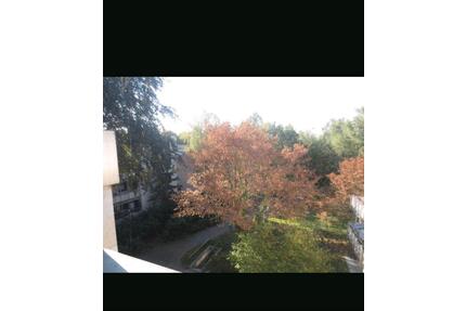 4,5 Zimmer Eigentumswohnung mit TG Stellplatz - Bedburg