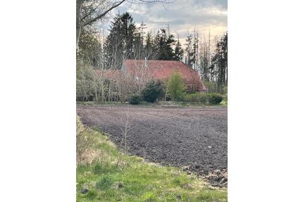 Resthof unweit der Nordseeküste > 10400 qm - Wittmund