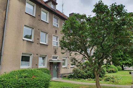 Groß genug für Träume, klein genug für Ausreden - Witten Heven