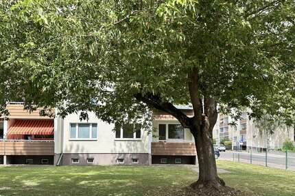 Wohnung zum Mieten in Magdeburg 470,00 € 60 m²