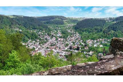 Grundstück zu verkaufen in Schramberg 249.000,00 € 1428 m²