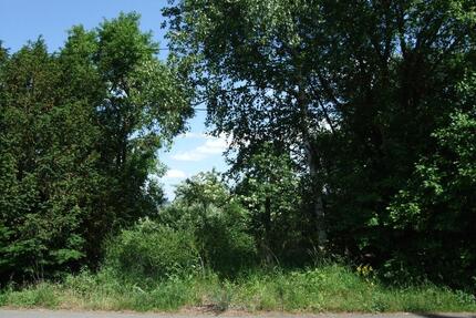 Hobby-Gartengrundstück, ca. 550 m² in Neuwied