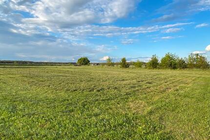 Bauträgerfreies Baugrundstück Blick auf Feld&Wald - Herzberg (Elster)