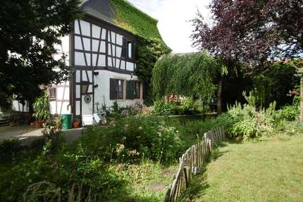 Haus zum Kaufen in Minfeld 495.000,00 € 300 m²