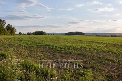 Grundstück zu verkaufen in Moosach 53.000,00 € 5685 m²