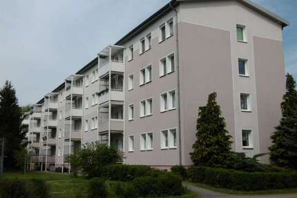 Wohnung zum Mieten in Forst (Lausitz) 276,66 € 46.11 m²