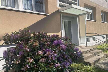 Wohnung zum Kaufen in Limbach-Oberfrohna 33.000,00 € 49 m²