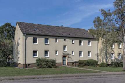 Wohnung zum Mieten in Herne 379,00 € 45.55 m²