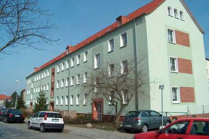 Wohnung zum Mieten in Stralsund 516,48 € 64.56 m²