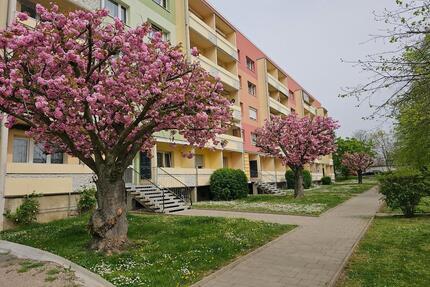 Sanierte 3 Raumwohnung mit Balkon, Bad mit Wanne und Fenster - Weißenfels